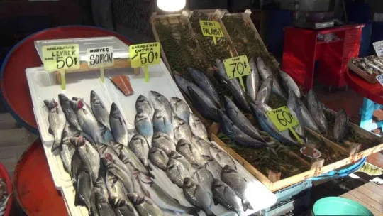 Bandırma balık halinde hamsi bolluğu yaşanıyor