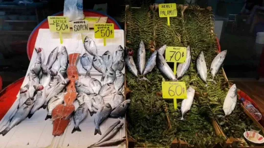 Bandırma balık halinde hareketlilik dikkat çekiyor