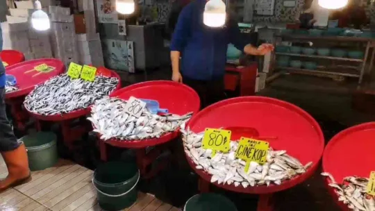 Bandırma balık halinde hareketlilik dikkat çekiyor