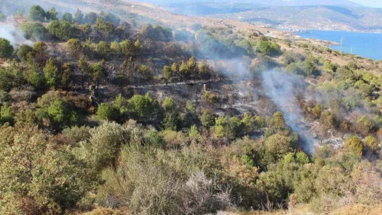 Bandırma Çalışkanlar Mahallesinde ormanlık alanda ki yangın kontrol altına alındı