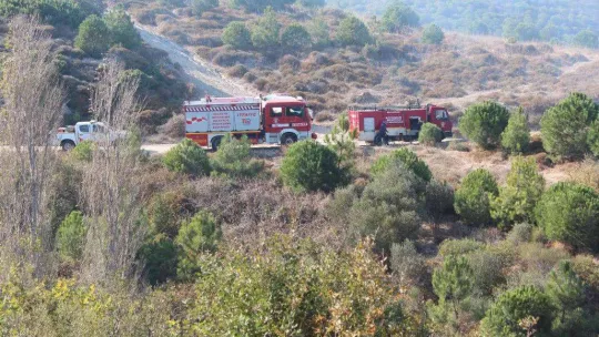 Bandırma Çalışkanlar Mahallesinde ormanlık alanda ki yangın kontrol altına alındı