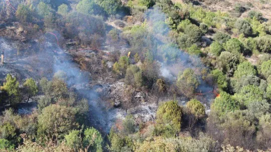 Bandırma Çalışkanlar Mahallesinde ormanlık alanda ki yangın kontrol altına alındı