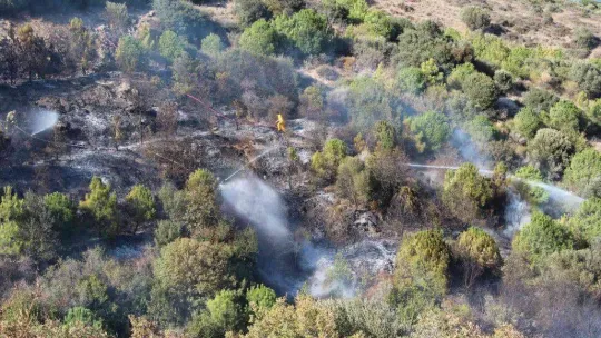 Bandırma Çalışkanlar Mahallesinde ormanlık alanda ki yangın kontrol altına alındı