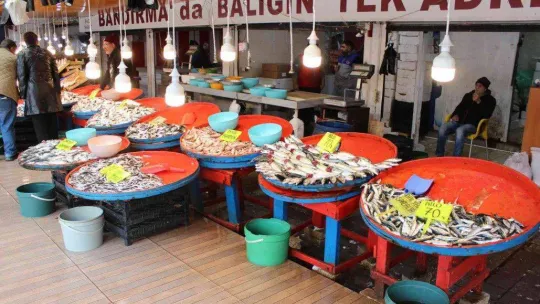 Bandırma'da balık fiyatları lodos ve soğuk hava nedeniyle yükseldi