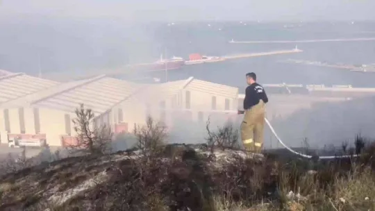 Bandırma'da yangın