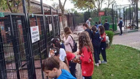 Barınak öğrencilerle dolup taşıyor