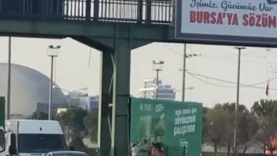 Başıboş atlar yollarda cirit atıyor