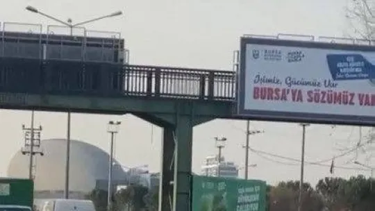 Başıboş atlar yollarda cirit atıyor