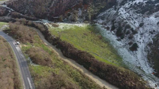 Başıboş hayvanlar için barınak projesi hazır
