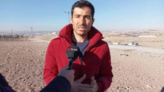 Başıboş sokak köpekleri 9 koyunu telef etti