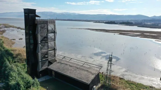 Başkan Metin Oral: 'Hersek Lagünü çok değerli bir sulak alandır'