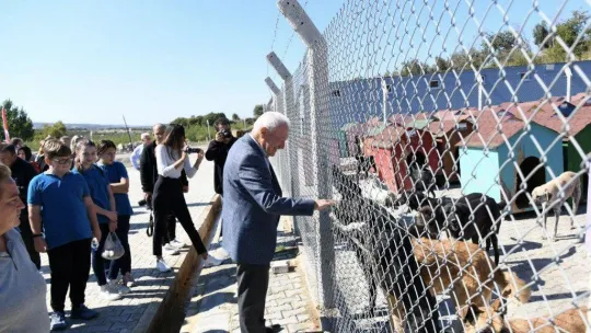 Başkan Yılmaz'dan hayvan barınağındaki 'canları sahiplenin' çağrısı
