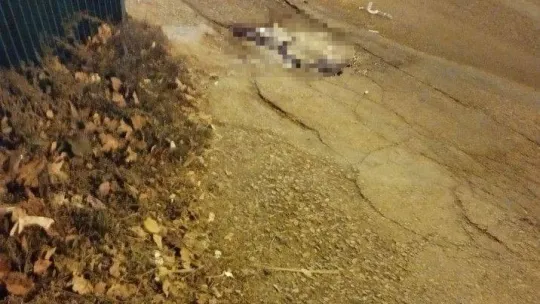 Başkent'teki silahlı çatışmaya ait yeni görüntüler ortaya çıktı