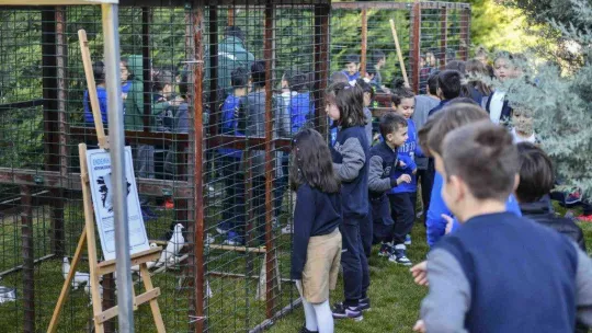 Başkentin 5 beyazı öğrencilere tanıtılıyor