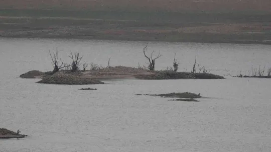 Bayramiç Barajı kuruma noktasına geldi
