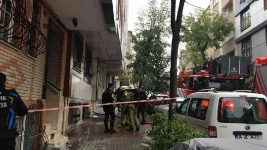Bayrampaşa'da bir evde çıkan yangında muhabbet kuşları kurtarıldı