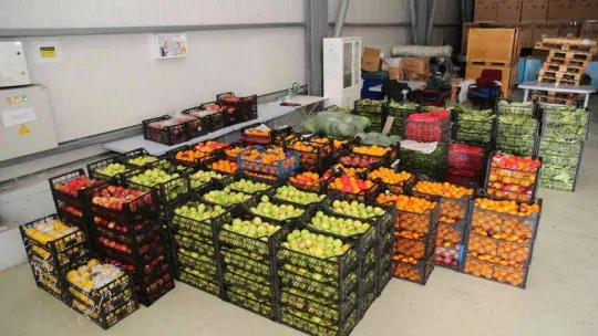 Bayrampaşa Hali'nden Küçükçekmecelilerin sofrasına gıda desteği