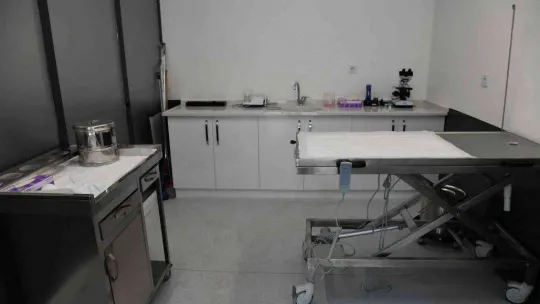 B.B.B.'den, Edremit'e sokak hayvanları tedavi merkezi