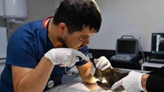 B.B.B.'den, Edremit'e sokak hayvanları tedavi merkezi