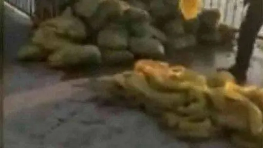 Bekçileri görünce 150 çuval kaçak midyeyi bırakıp denize kaçtılar