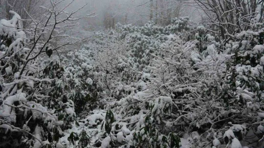 Beklenen kar gelince vatandaşlar soluğu Kartepe'de aldı