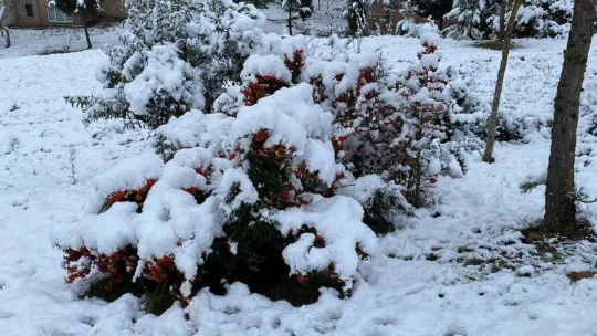Beklenen kar İzmit'in yüksek kesimlerine düştü