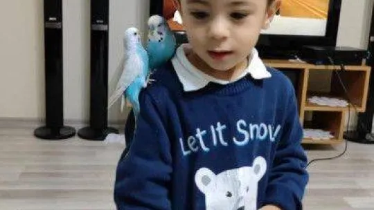 Beşiktaş'ta feci olay: 2 yaşındaki çocuk 5. kattan düşüp öldü