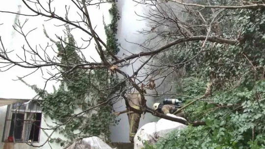 Beşiktaş'ta korkutan yangın