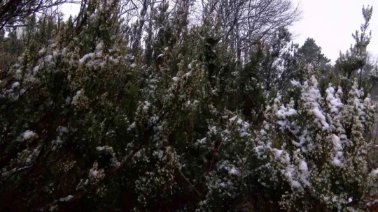 Beyaza bürünen Aydos Tepesi havadan görüntülendi