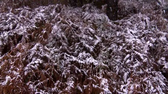 Beyaza bürünen Aydos Tepesi havadan görüntülendi