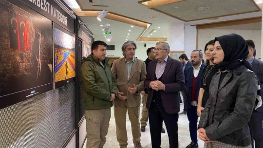 Beykoz Belediyesi 4. Fotoğraf Yarışması'nda ödüller sahiplerini buldu