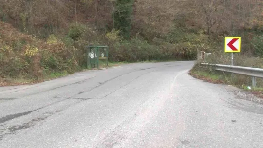 Beykoz'da aç kalan domuzlar yerleşim yerlerine indi