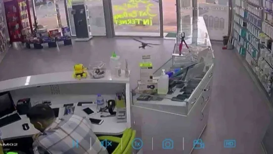 Beykoz'da atmaca yakaladığı serçe ile telefon mağazasına, ortalığı birbirine kattı