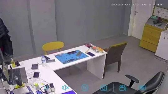 Beykoz'da atmaca yakaladığı serçe ile telefon mağazasına, ortalığı birbirine kattı