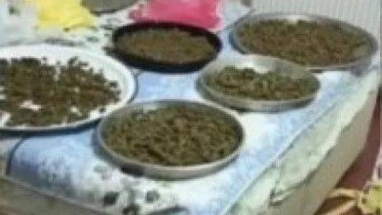 Beykoz'da mahallede yayılan kokunun izini süren polis, 7 kilo uyuşturucu buldu