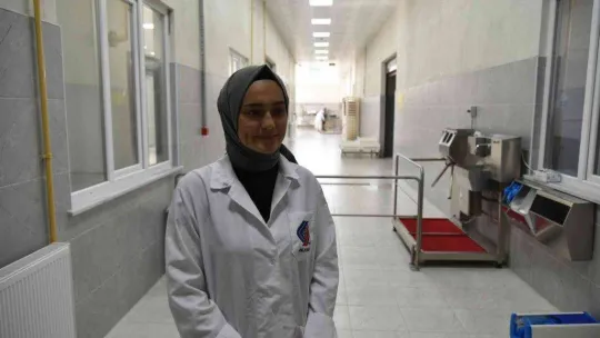 Biberiyede sezonun son ürünleri hasat ediliyor