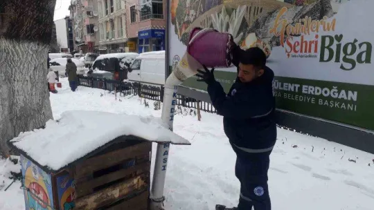 Biga Belediyesi'nden karlı havada sokak hayvanlarına mama