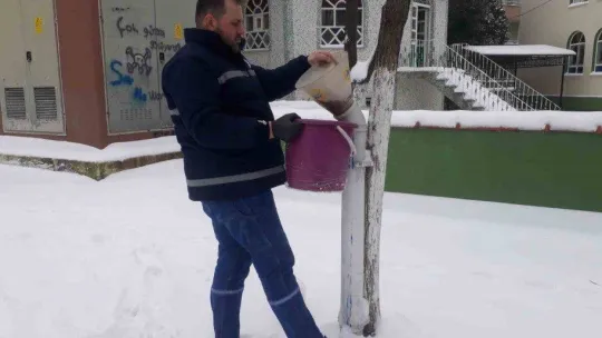 Biga Belediyesi'nden karlı havada sokak hayvanlarına mama
