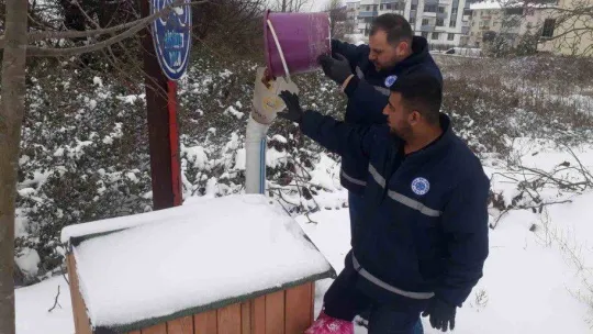 Biga Belediyesi'nden karlı havada sokak hayvanlarına mama