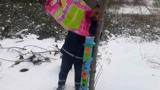 Biga Belediyesi'nden karlı havada sokak hayvanlarına mama
