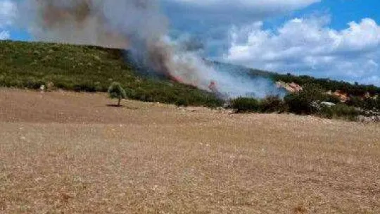 Biga'da orman yangını kontrol altına alındı