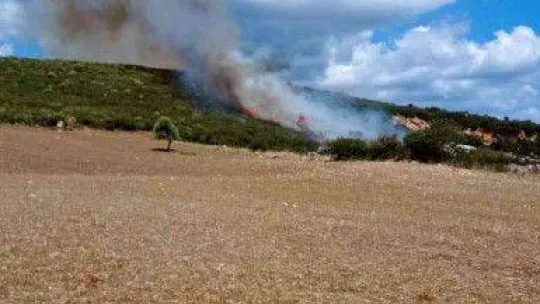 Biga'da orman yangını