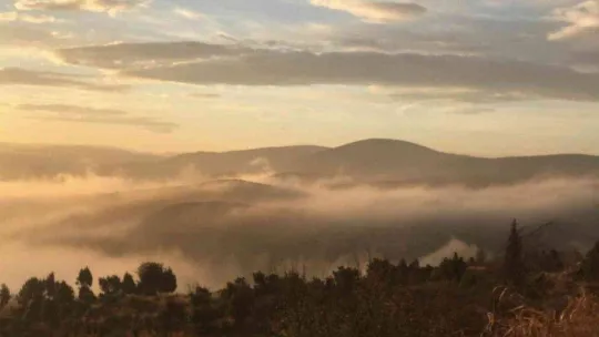 Bilecik'te sis etkili oldu