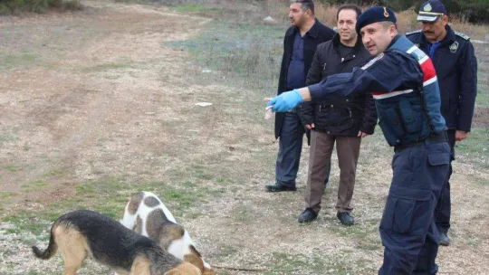 Bilecik'te sokak hayvanlarını elleriyle beslediler