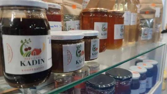 Bilecik Uluslararası Turizm Ticaret Fuarına yerini aldı