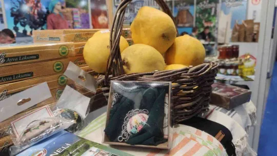 Bilecik Uluslararası Turizm Ticaret Fuarına yerini aldı