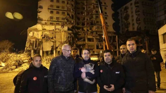 Bina enkazının yıkımı durduruldu, 'Zena' isimli kedi kurtarıldı