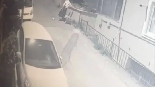 Binadaki tüm ayakkabıları pazar arabasına doldurdu