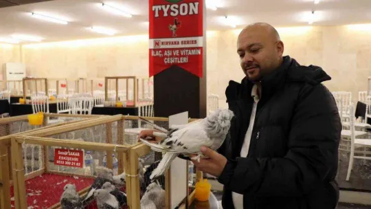 Bir milyona güvercin