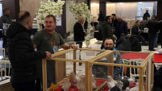 Bir milyona güvercin